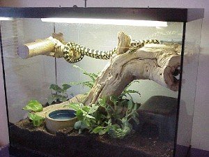 Проветряване на терариум