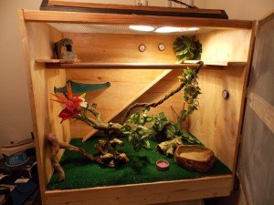Терариум от дърво