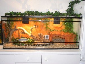 Изработка на терариум