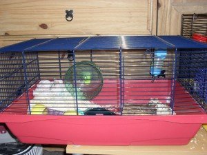 Клетка за хамстер