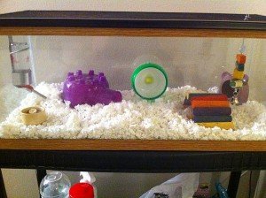 Настилка за хамстери