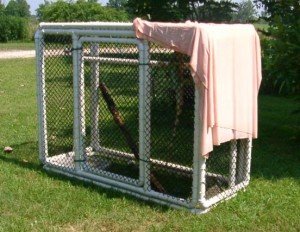 Терариум на открито