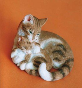 Йерархия при котките