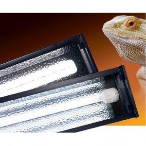 Осветление в терариум