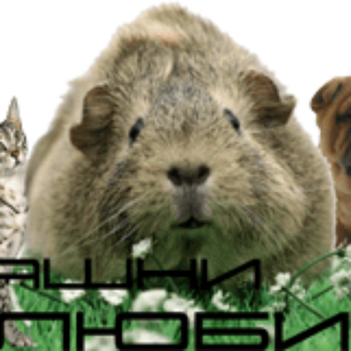 Домашни любимци